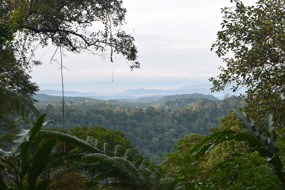 taman nasional gunung gede pangrango
