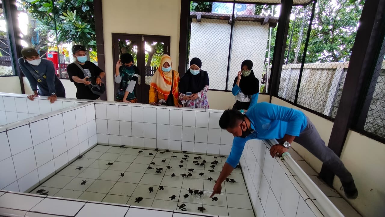 Penangkaran Penyu | Foto: Dok. Pribadi