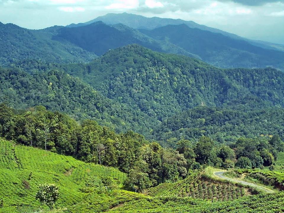 Potret Keindahan Alam Desa Citengah Sumedang | Foto: Sumedang Tandang