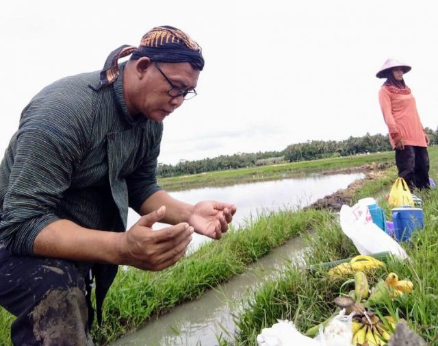 Tradisi Wiwitan | Foto: Bernas News