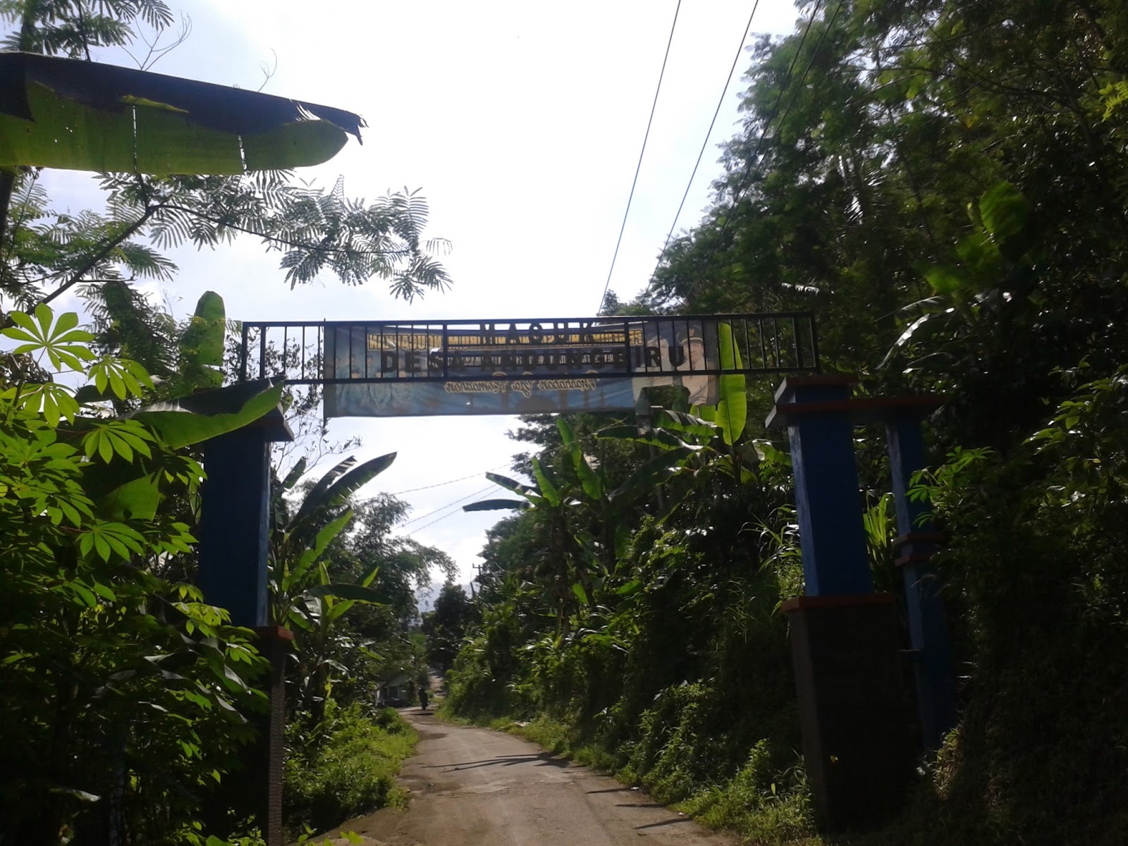 Pintu Masuk Desa Andung Biru | Foto: Desa Andung Biru