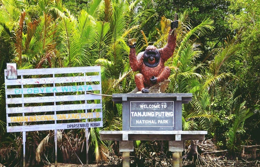  Taman Nasional Tanjung Puting | Foto: Unsplash 