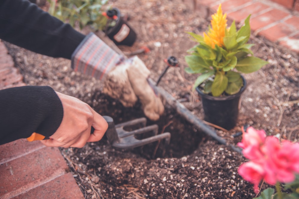 Gardening | Foto: Unsplash