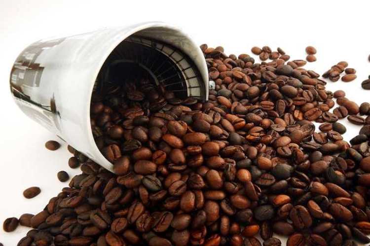 Kopi bajawa | Foto: Cafebrick.co