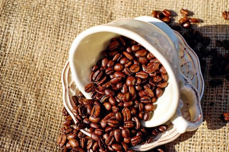 Kopi bajawa | Foto: Cafebrick.co
