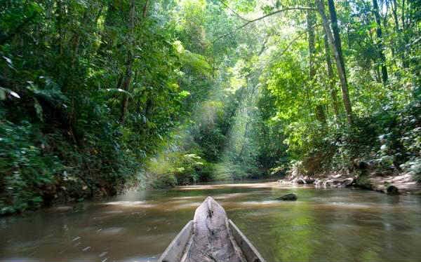 Taman Nasional Kayan Mentarang | Foto: Nusapedia.com