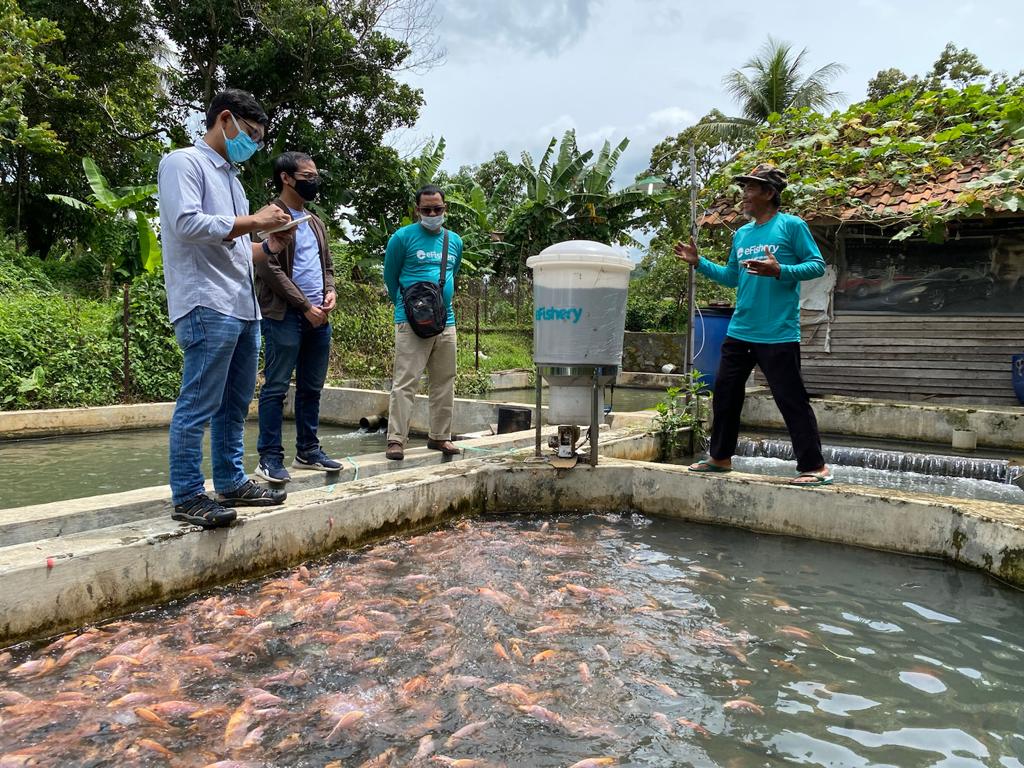 eFishery membantu pembudidaya ikan | Dok. eFishery