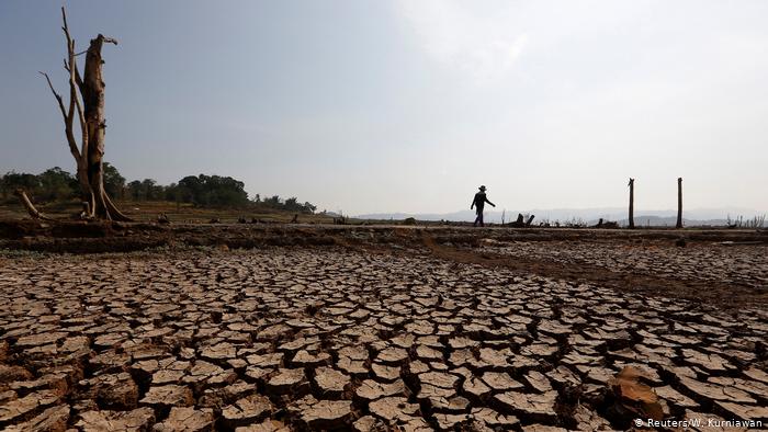 Musim kemarau | Foto: DW