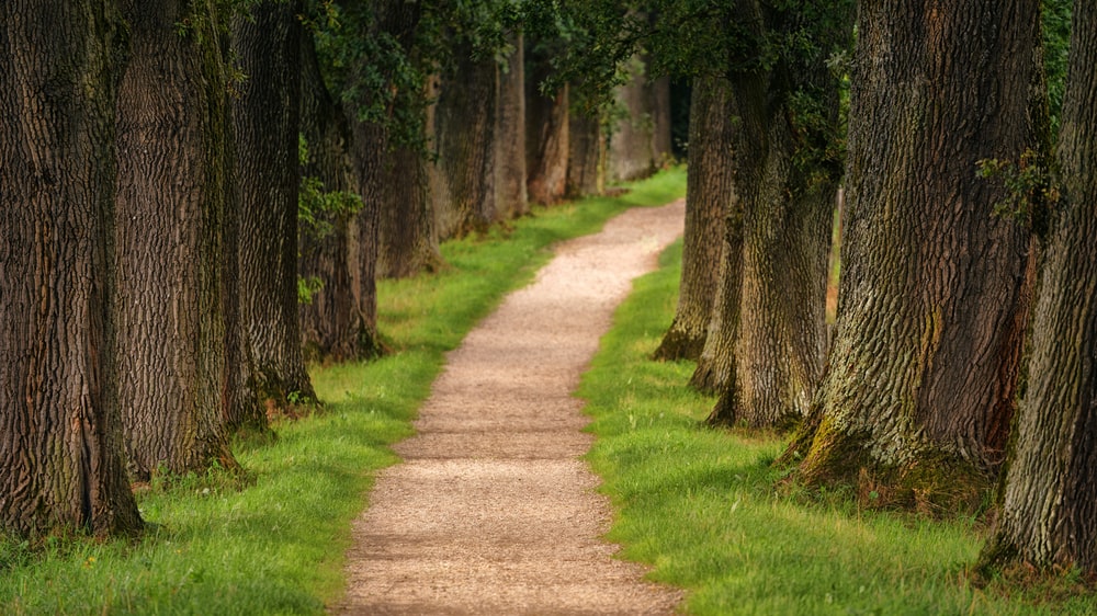 Ilustrasi | Foto: Unsplash