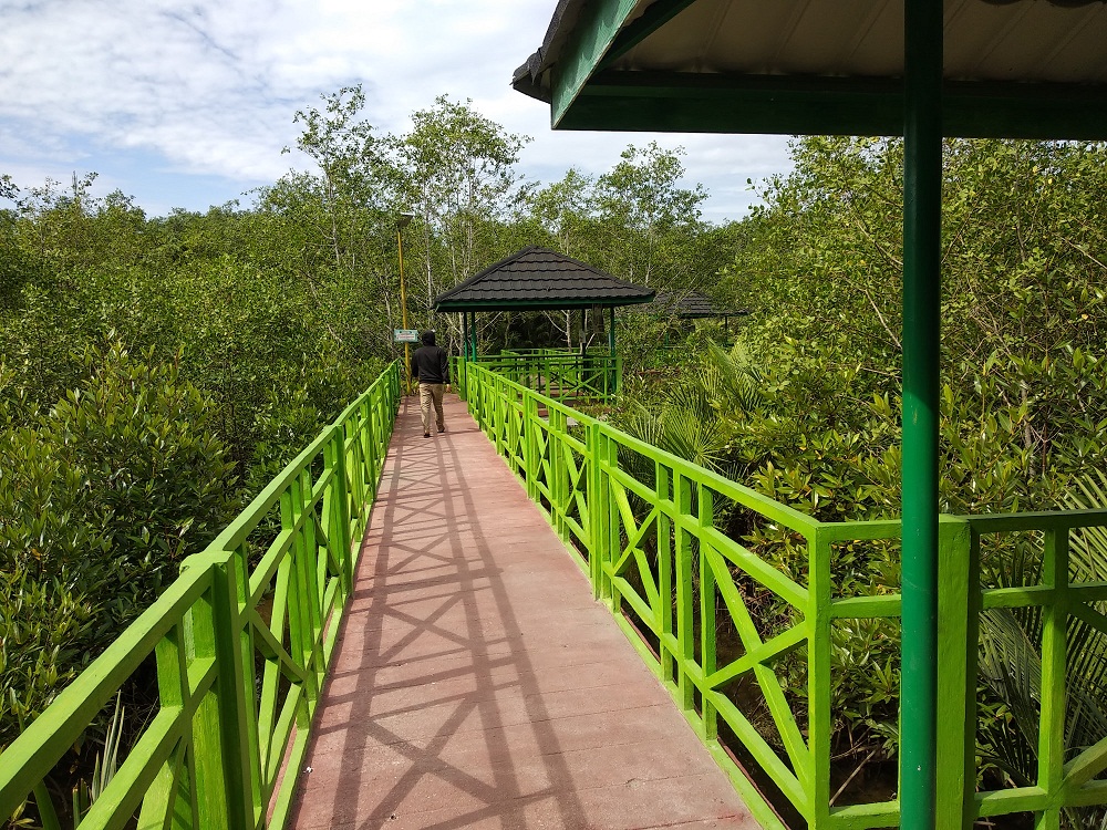 Jalur Tracking Mangrove Park