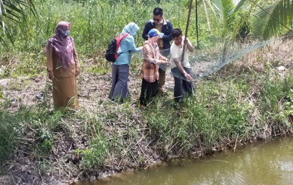 Budidaya udang yang masih dilakukan secara tradisional