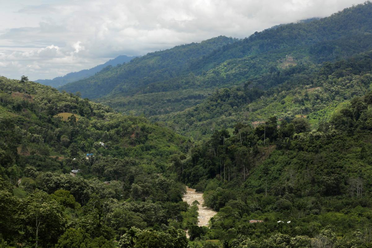 Penampakan Taman Nasional Gunung Leuser | Galeri Imaji Pertiwi