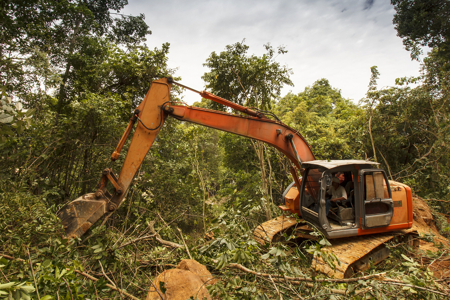 pengrusakan hutan
