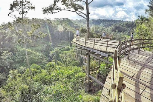 Bali Pulina | Foto: Punapibali