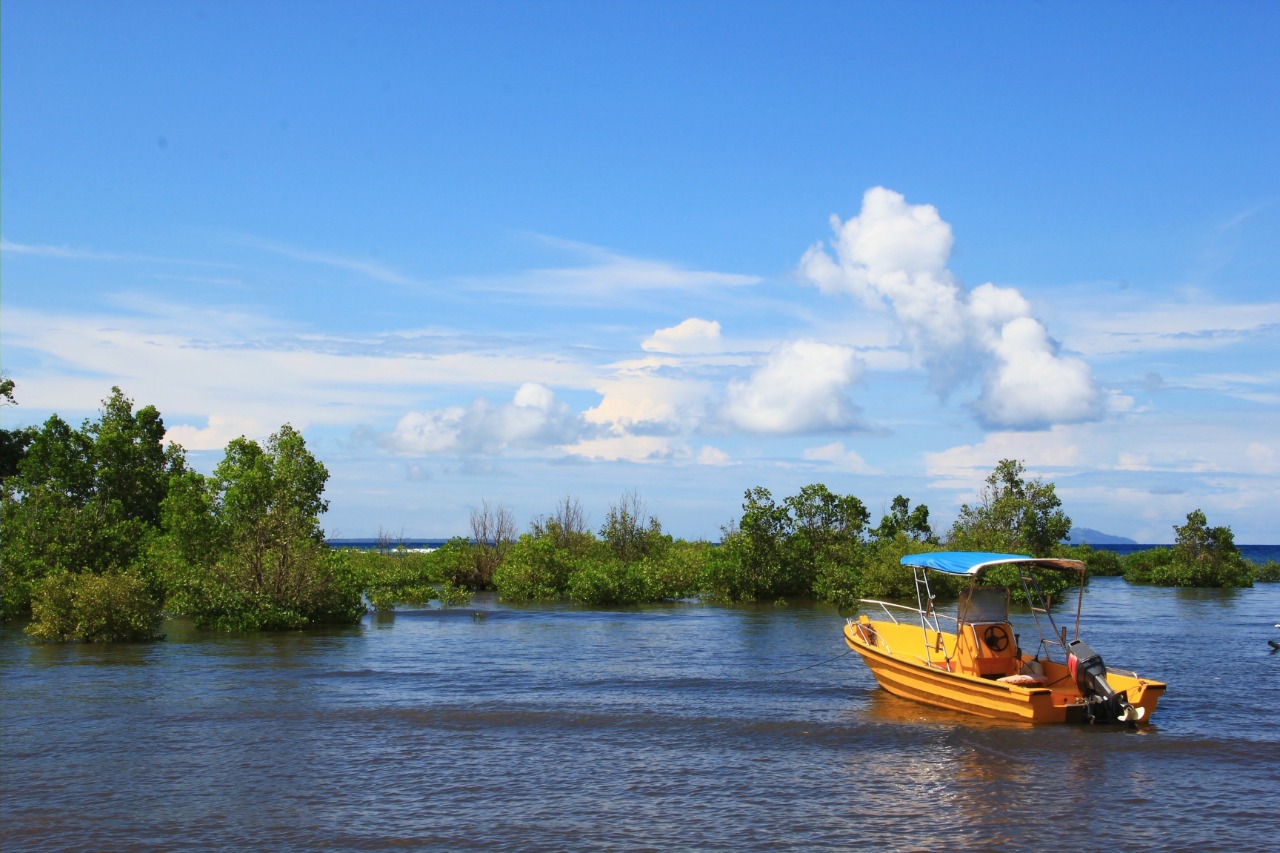 Pemandangan ekowisata Desa Bahoi | Shutterstock/itrand katuuk