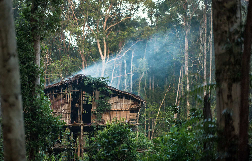 Rumah pohon | @Sergey Uryadnikov Shutterstock