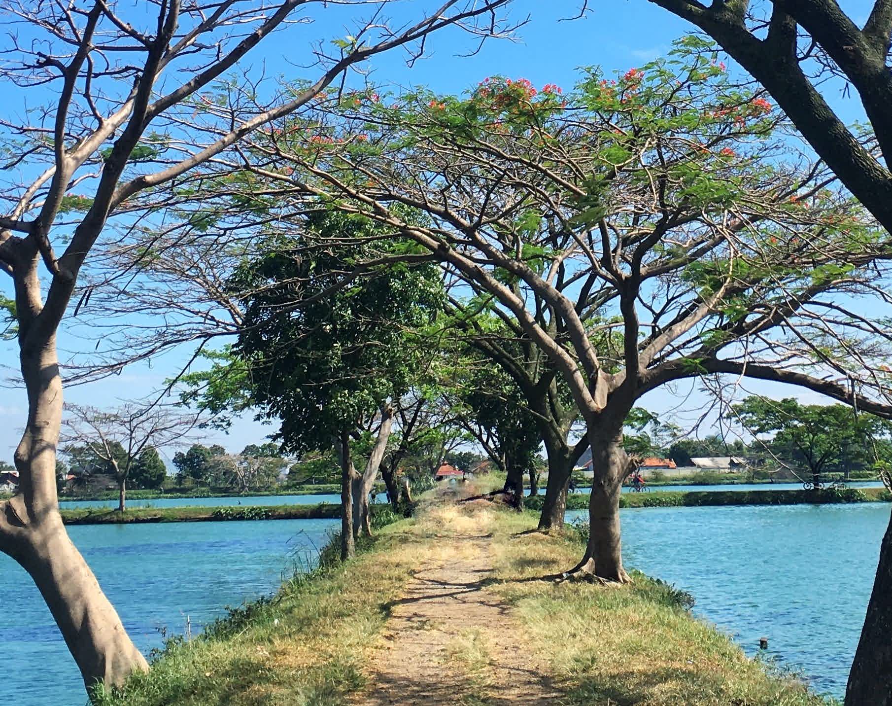 Pengunjung bisa melihat pepohonan di komplek danau IPAL Bojongsoang