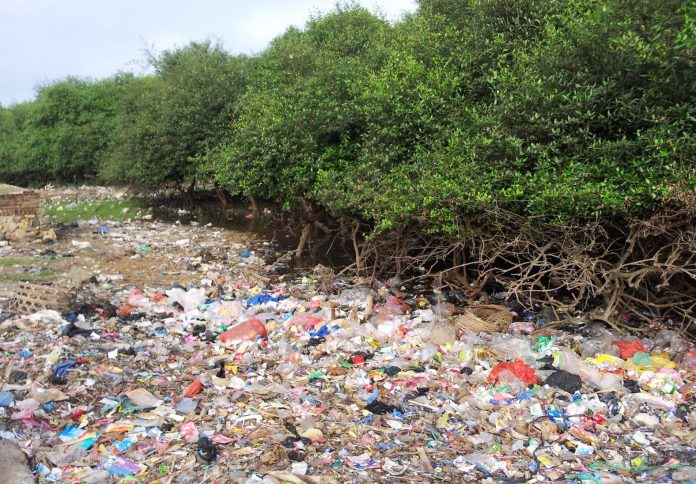 Sampah di hutan mangrove
