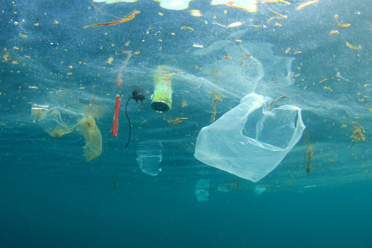 Sampah plastik yang berakhir di lautan. | Foto : ShutterStock/ Rich Carey
