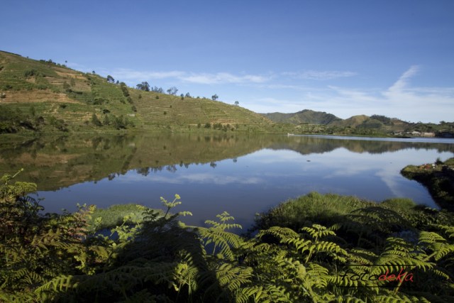 Pemandangan Desa Sembungan | Foto: Kumparan