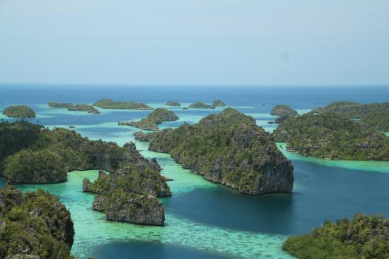 Puncak Harfat | Foto: Trip advisor