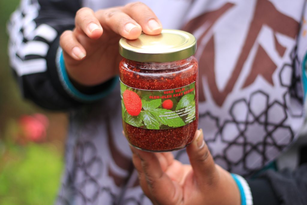 Kerben, Berry Asli Indonesia | Dok. KKI WARSI