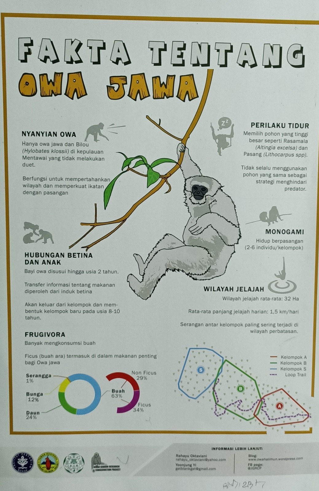 Informasi tentang owa jawa