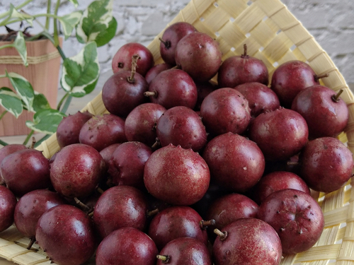 Buah Rukam (Shuterstock)
