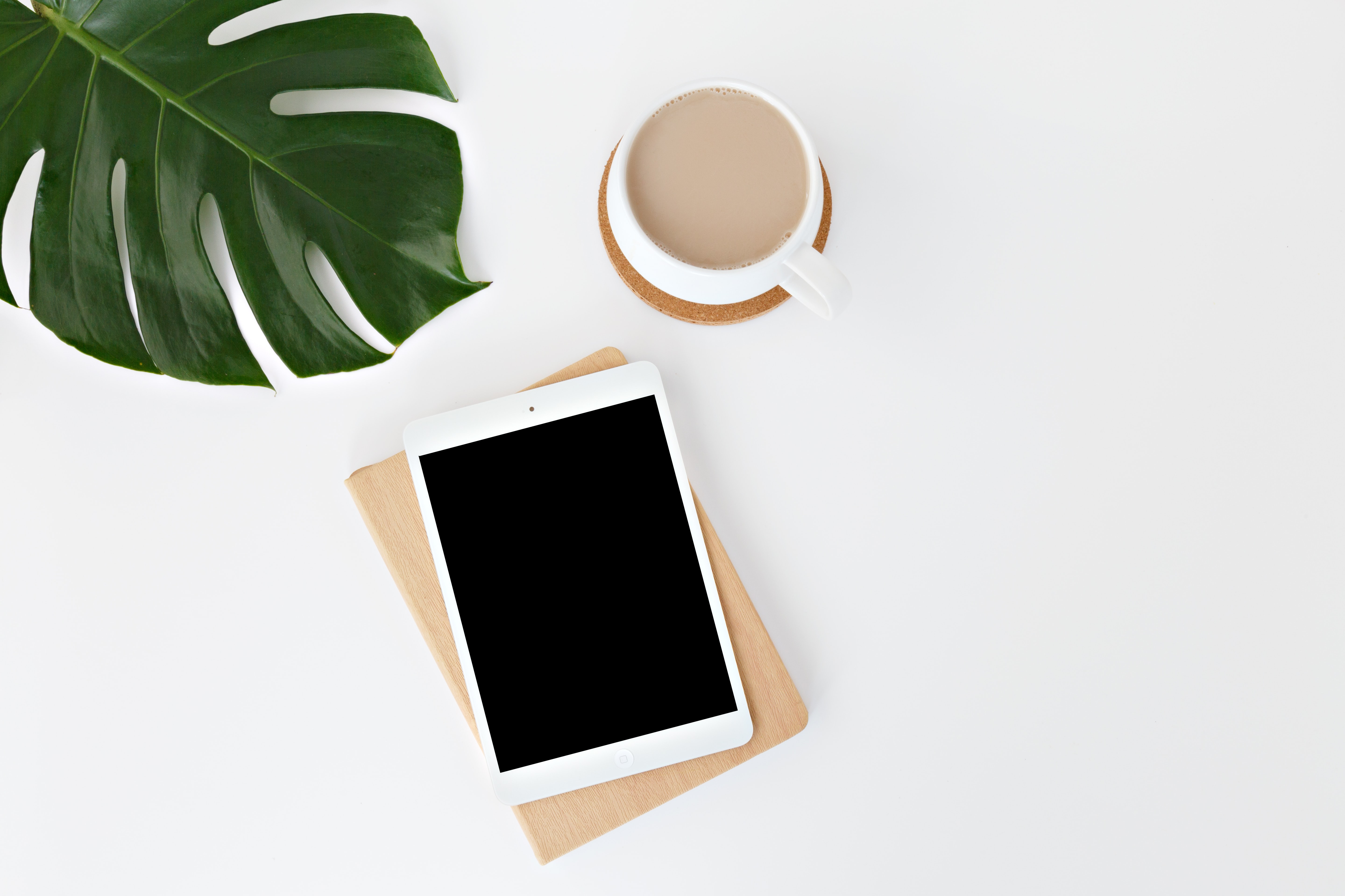Ilustrasi | Foto: Leone Venter/Unsplash