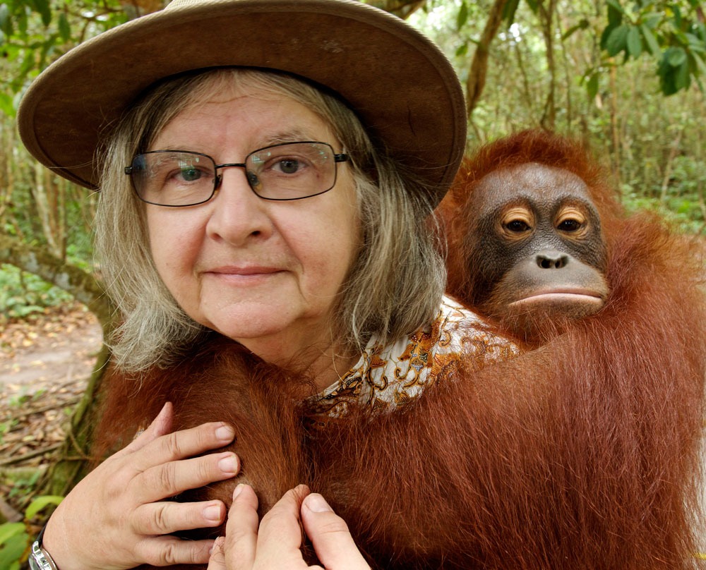 Birute di Camp Leakey | Foto : OFI