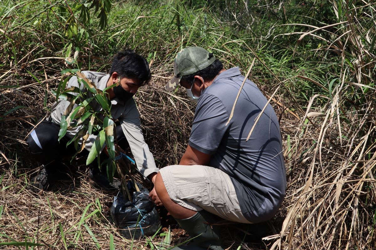 Kegiatan menanam pohon | Dokumentasi Pejuang Waktu