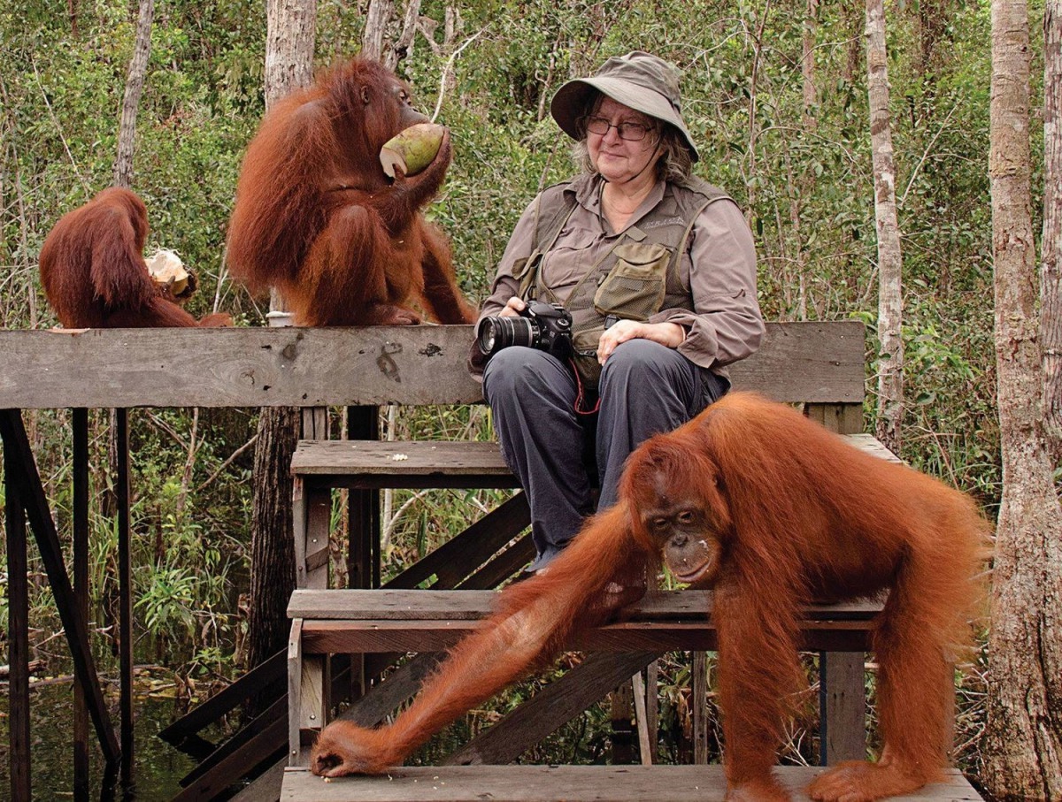 Sosok Birute dan orang utan © Las Sinsombreo