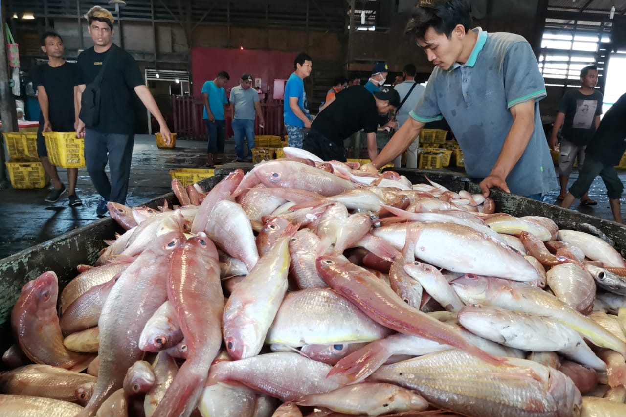 Perikanan di Indonesia