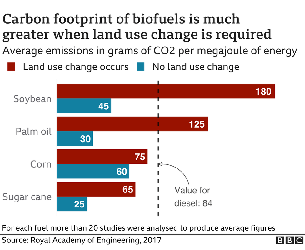 feedstock bbn