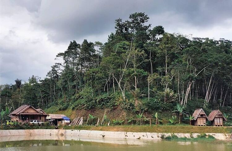 kasepuhan ciptamekar