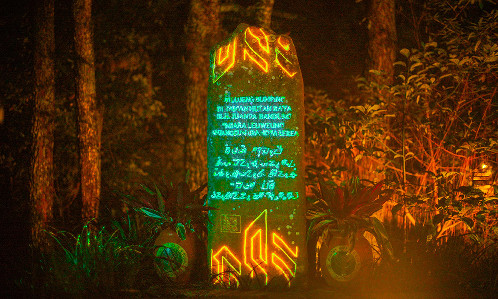 Hutan Menyala | Dokumentasi Hutan Menyala