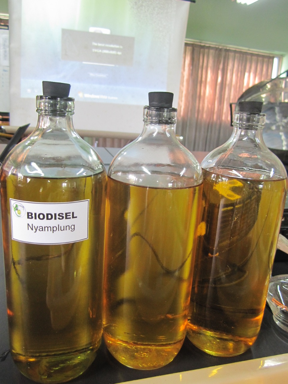biodiesel nyamplung