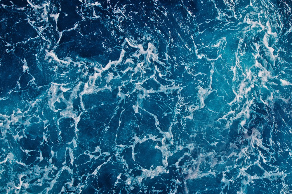 Laut | @Alexander Tolstykh Shutterstock