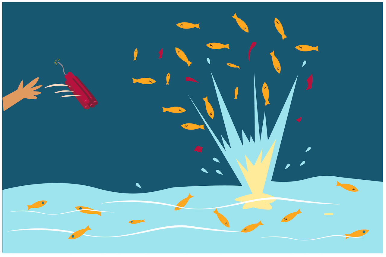 Destructive fishing | @Crystal Eye Studio Shutterstock
