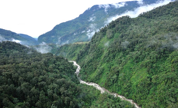Area Mile 50 | Foto: Freeport Indonesia