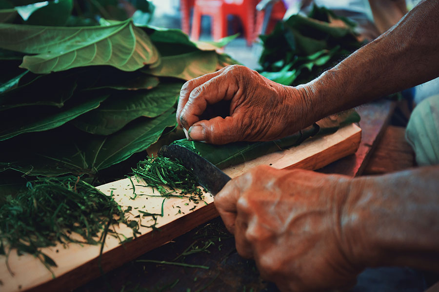 Daun pangi yang tidak hanya digunakan sebagai pembungkus makanan tetapi juga dapat diolah menjadi menu sayur. Foto: Shutterstock
