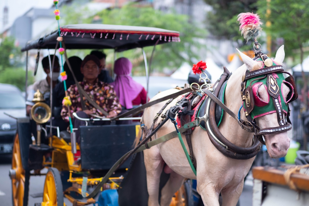 Delman/andong di Malioboro