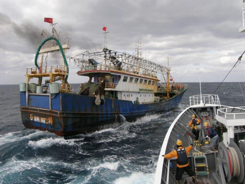 Ilustrasi illegal fishing | Wikimedia Commons