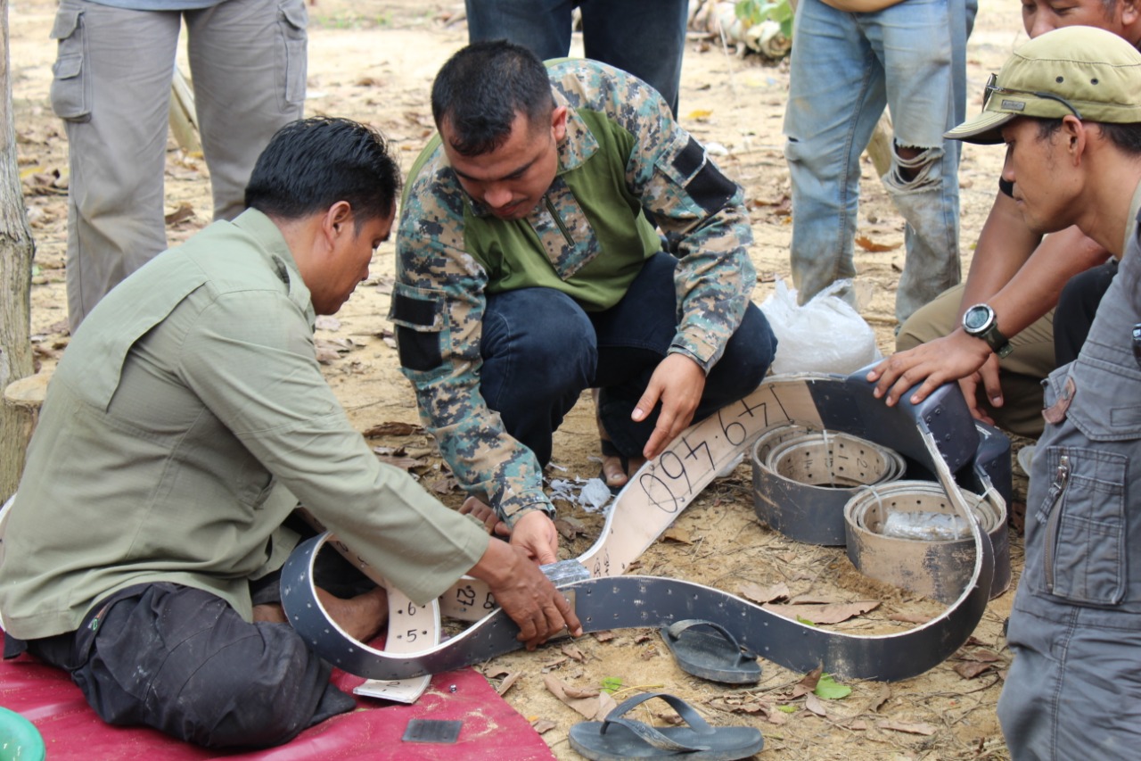 Ilustrasi pemasangan GPS Collar pada gajah | Menlhk.go.id