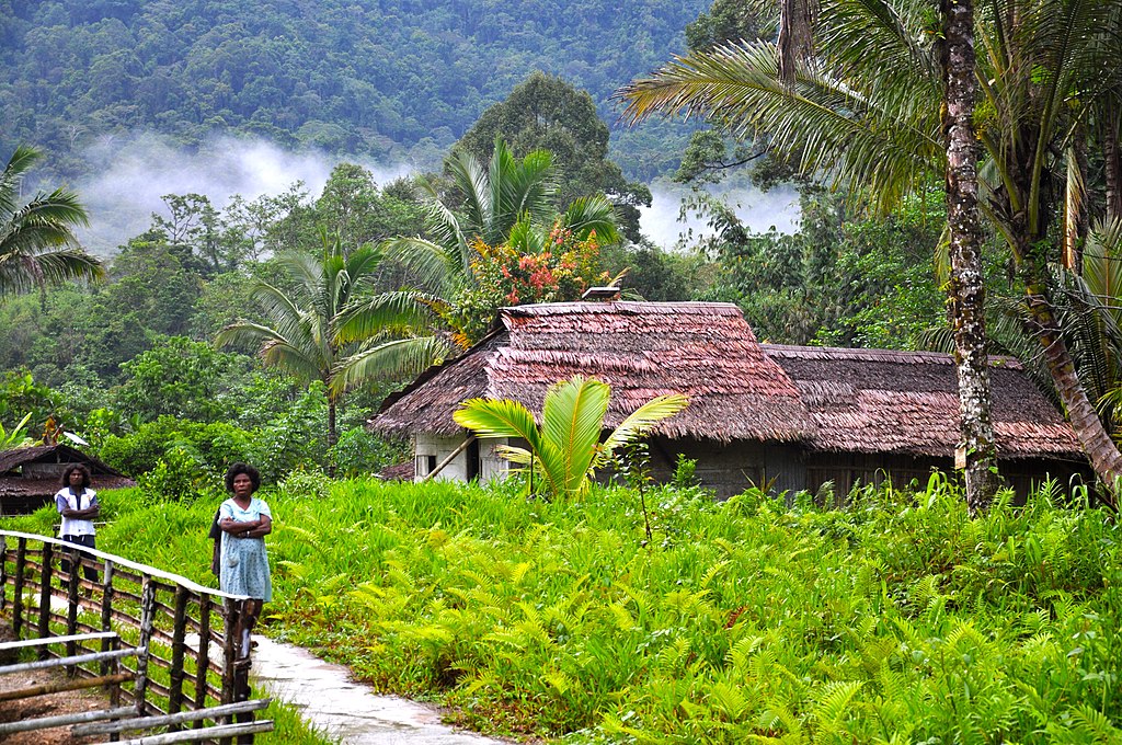TN Manusela | Wikimedia Commons
