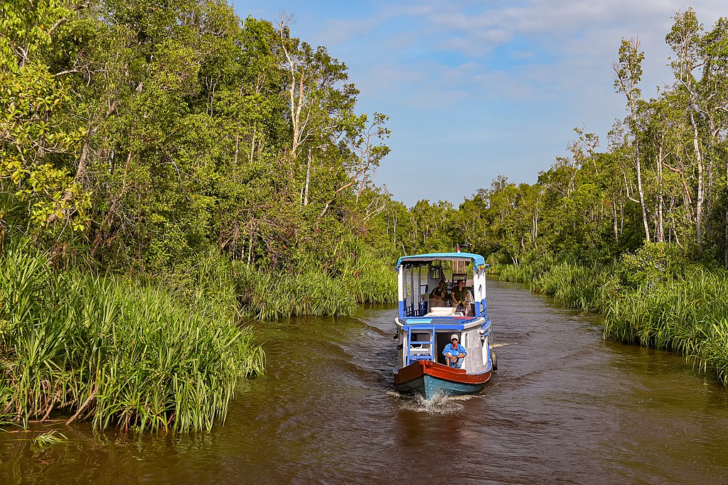 Sungai Sekonyer | Wikimedia Commons