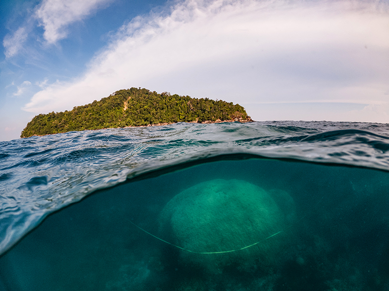 Tim Ekspedisi Pulau Gelasa melakukan pengukuran terhadap temuan karang porites di Pulau Gelasa. Foto: Nopri Ismi