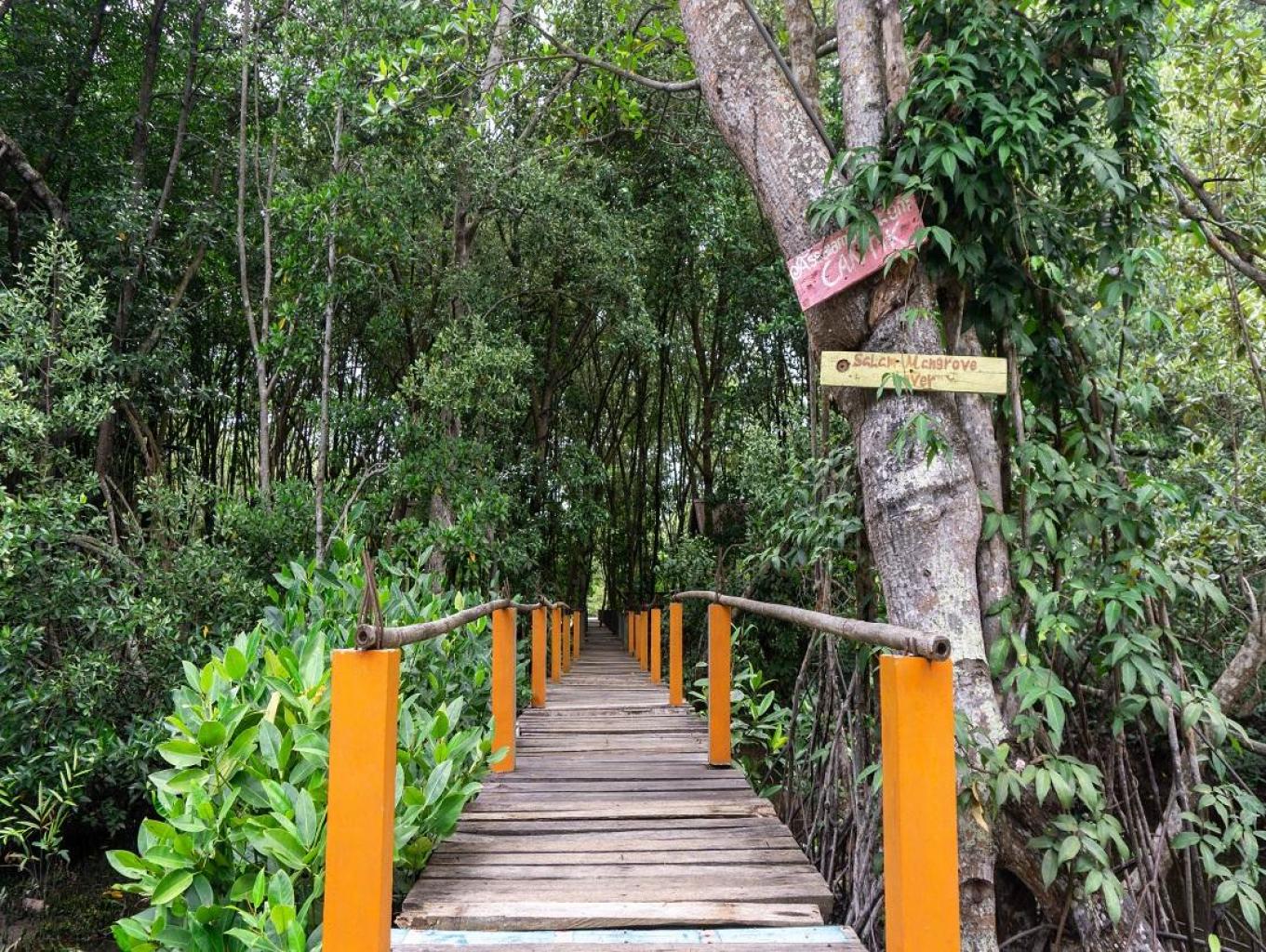 Desa Wisata Kampung Tua Bakau Serip | jadesta.kemenparekraf.go.id