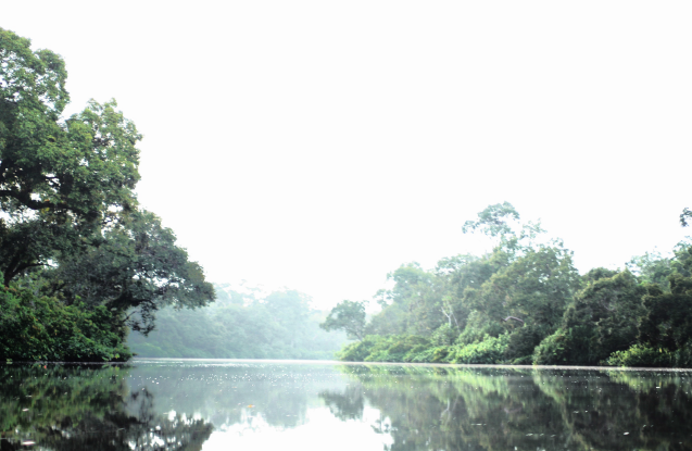 Sungai Matan | @Endro Setiawan tngunungpalung.com