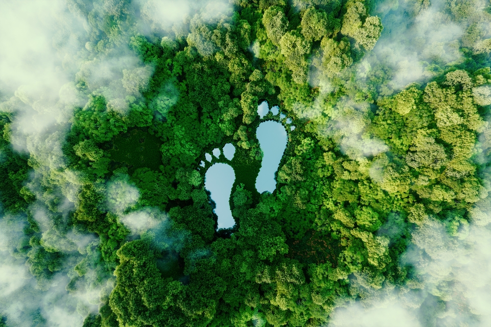 Ilustrasi jejak karbon | @petrmalinak Shutterstock